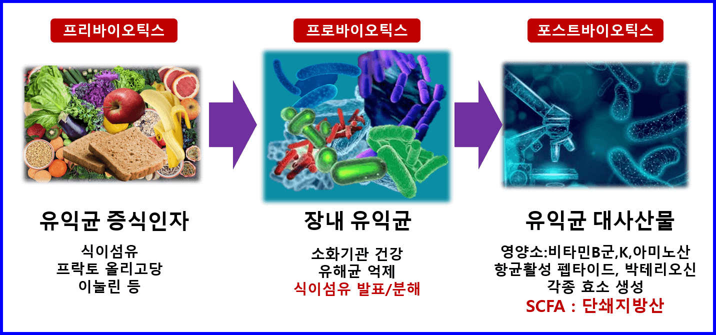 마이크로바이옴