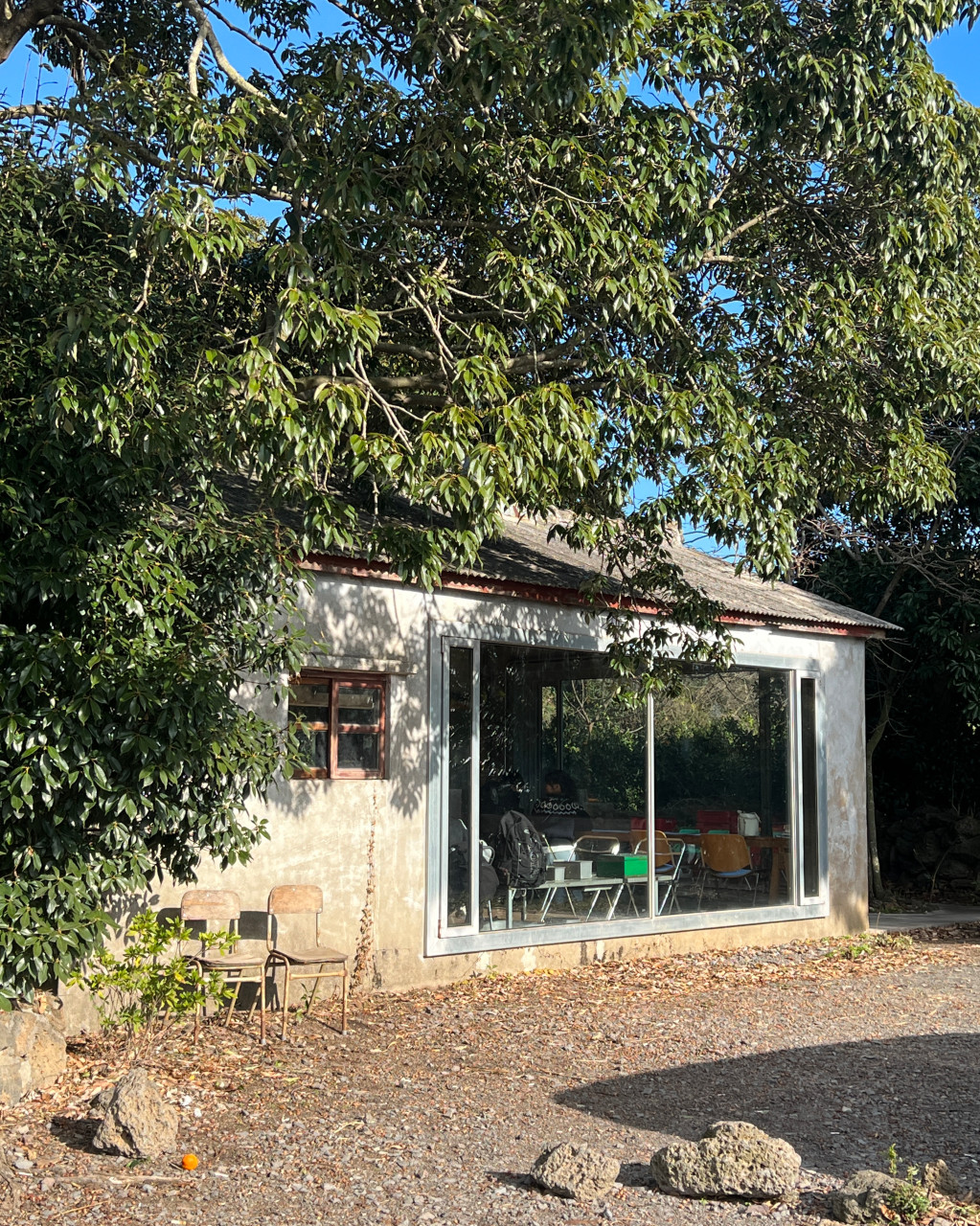 제주도 반려견 동반 맛집&amp;카페 : 동반 식당&amp;#44; 카페 추천