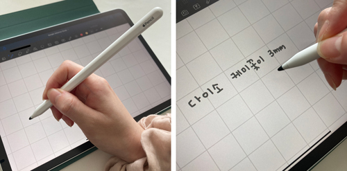 애플펜슬에_다이소케미꽃이사용한후기사진