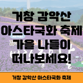 거창 감악산 아스타국화 축제 썸네일