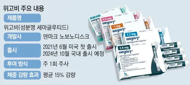 위고비-주요-내용
