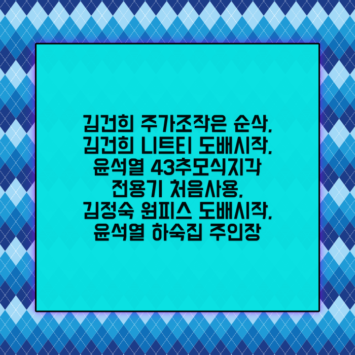 김건희 니트티 김정숙 원피스