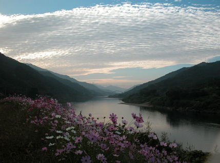 곡성에서 특별한 경험을 할 수 있는 볼거리, 놀거리 베스트8