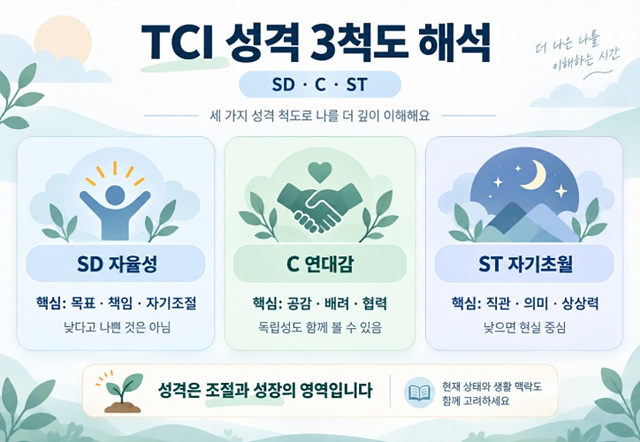 TCI 기질 및 성격 무료검사 해석방법