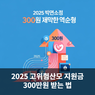 2025 고위험산모 지원금