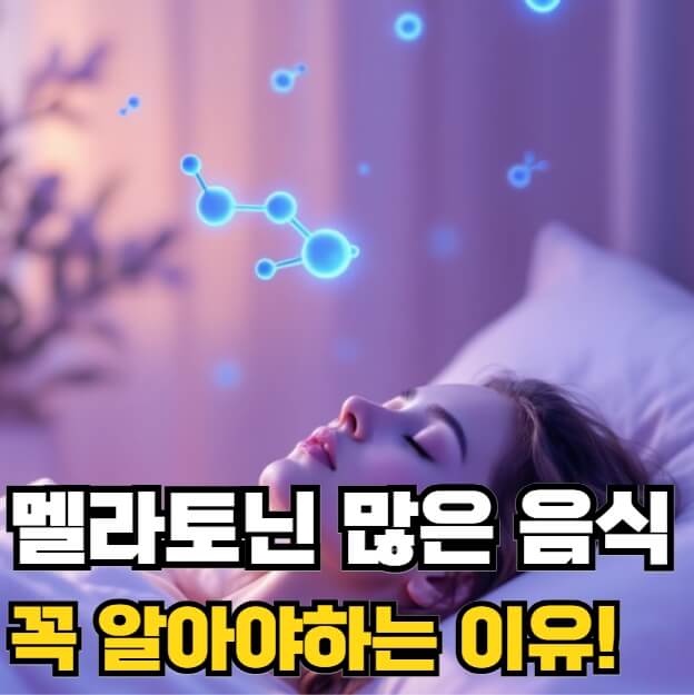 멜라토닌 많은 음식
