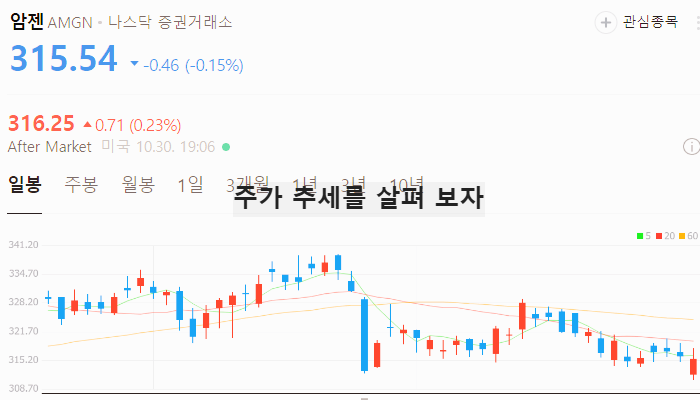 미국 비만치료제 관련주 대장주 테마주 TOP5
