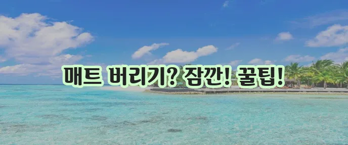 요가 매트 분리수거 알뜰하게 하는 방법, 꼭 알아두세요!