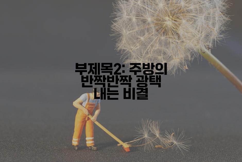 부제목2: 주방의 반짝반짝 광택 내는 비결