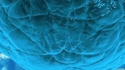 Tile 4