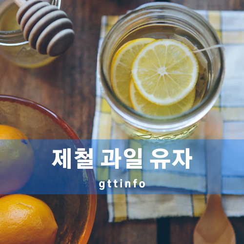 유자의 효능
