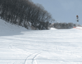 지산포레스트 흰눈이 쌓인 스키장