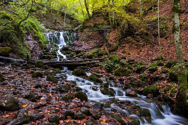 국립자연휴양림_다자녀가정기준변경안내