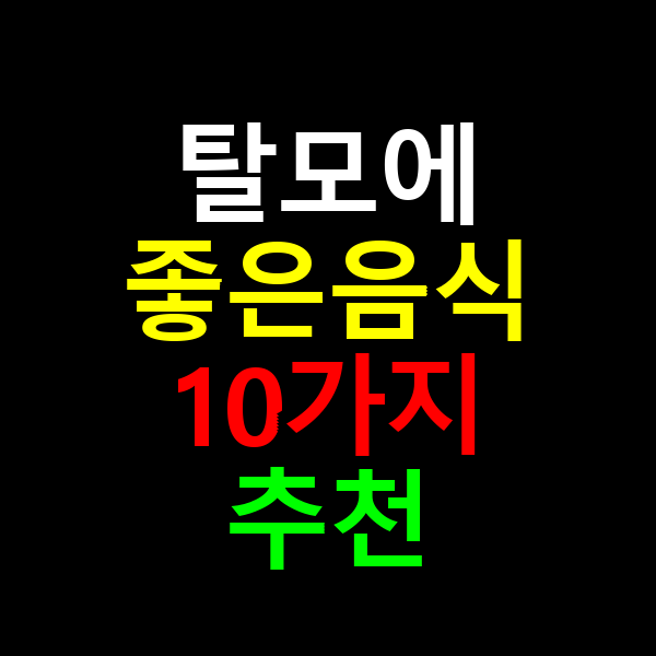 탈모에 좋은음식