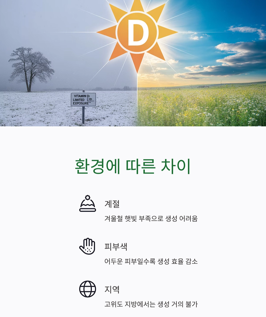 비타민D 음식과 햇빛 노출의 균형, 어떻게 맞춰야 할까?