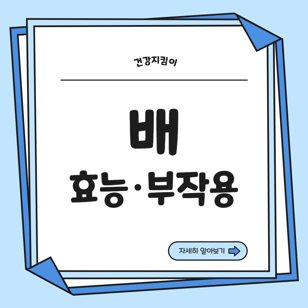 배의 효능 영양성분 부작용