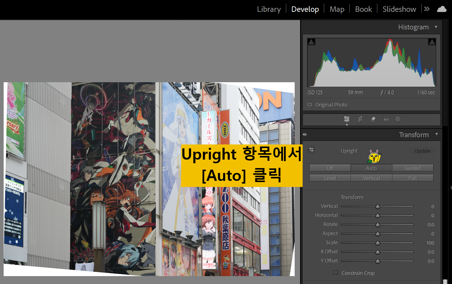 Transform 항목에서 Upright - Auto click