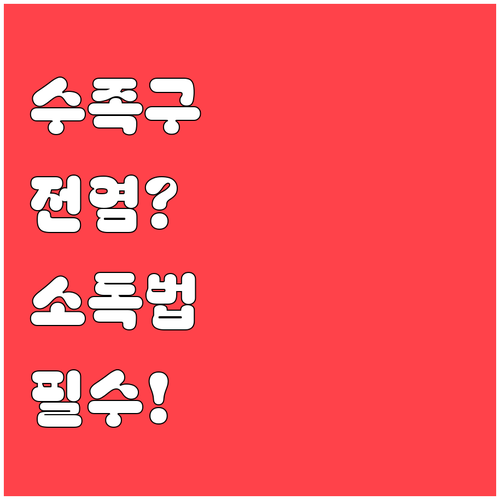 수족구 전염 경로와 가정 내 소독 관..