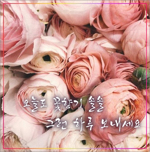 아침-인사-꽃향기