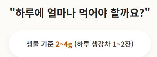 생강 효능
