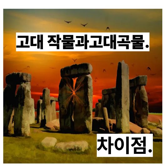 고대작물 vs 고대곡물 차이｜헷갈리기 쉬운 개념 한 번에 정리