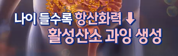 모로실 효능