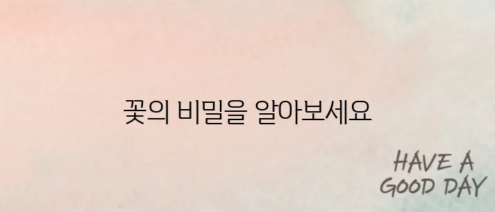 "꽃의 이름을 알려주는 스마트 애플리케이션"