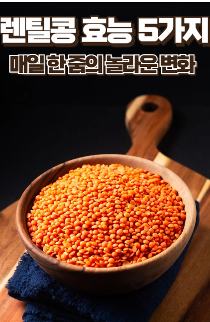 렌틸콩 효능