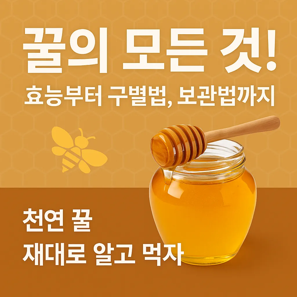 꿀의_모든_것!_효능부터_구별법,_보관법까지_–_천연_꿀_제대로_알고_먹자