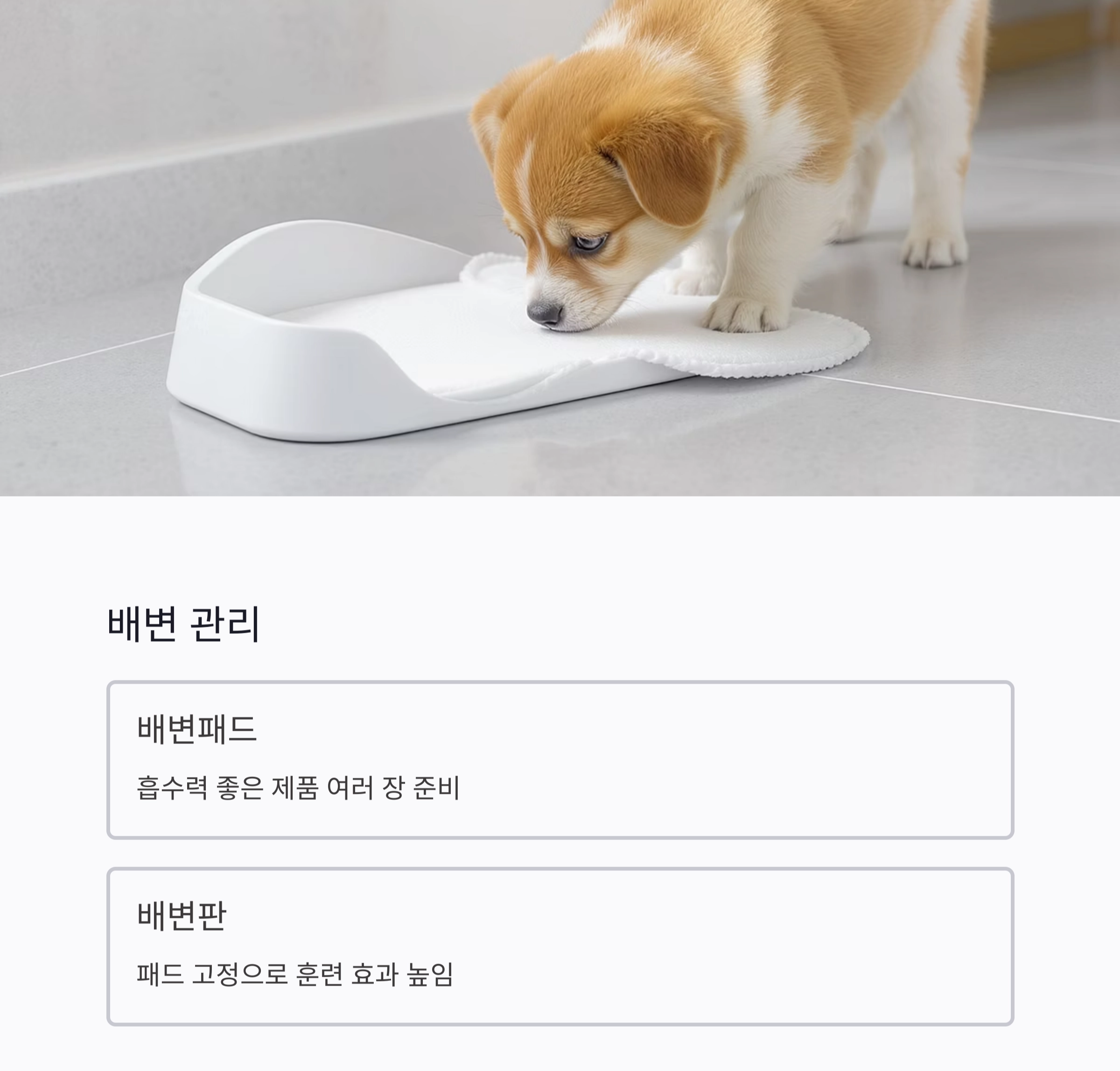 강아지 처음 키울 때 꼭 필요한 준비물 리스트