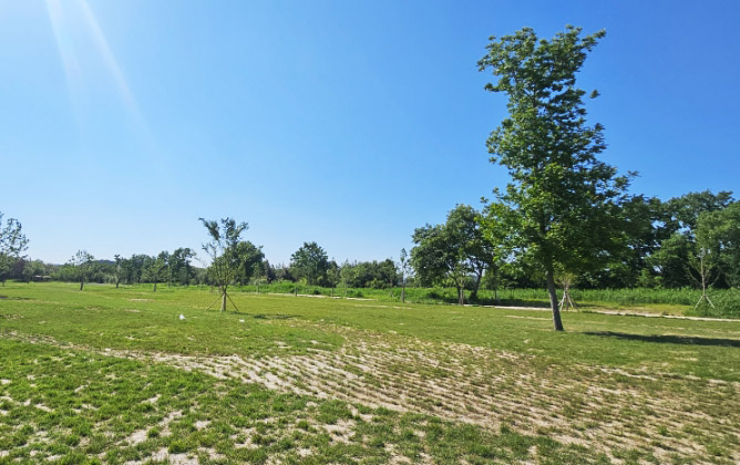 친수생태공원 와룡지구파크골프장