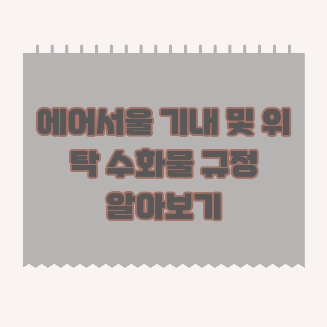 에어서울-기내-위탁-수화물-규정