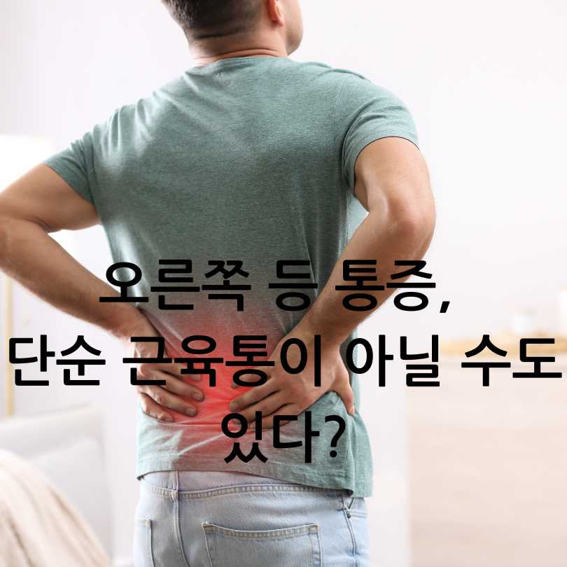 오른쪽 등 통증이 의심되는병