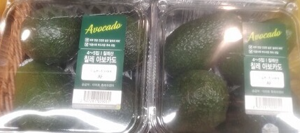 아보카도 매장