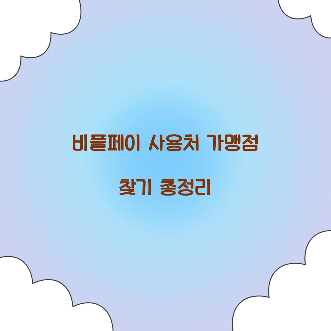 비플페이 사용처