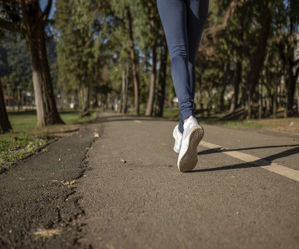 와사비잎 추출물