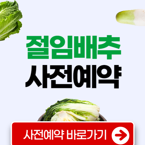 홈플러스 절임배추 사전예약