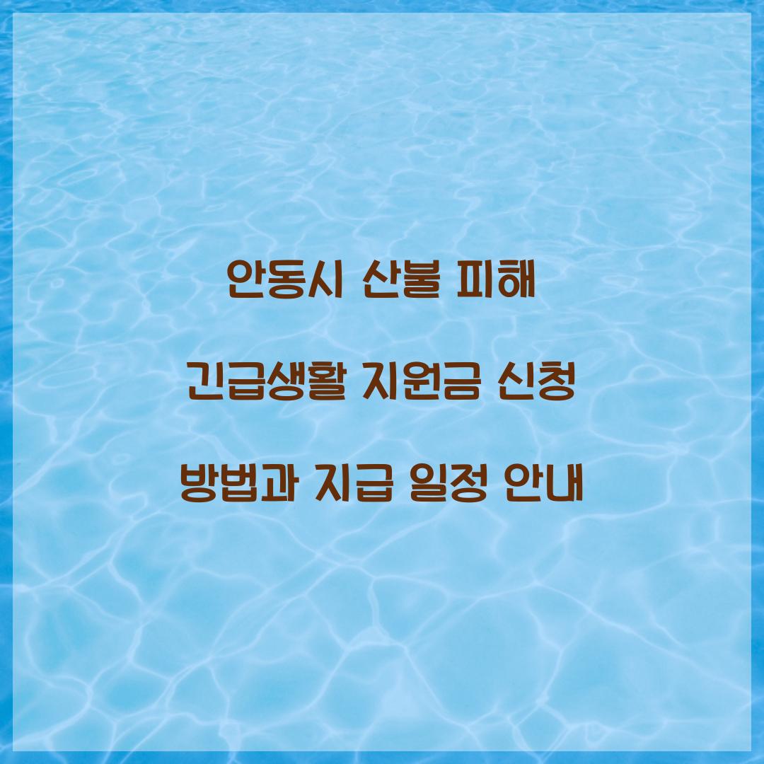 안동시 산불 피해 긴급생활 지원금