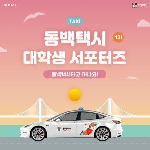 이재명 정부 수혜부 : 코나아이 주가 분석