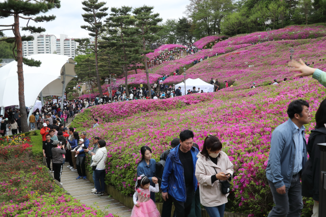 군포 철쭉 축제