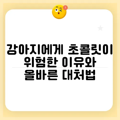 강아지에게 초콜릿이 위험한 이유와 올바른 대처법