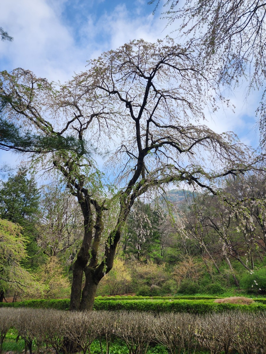 안양 수목원 이미지 사진