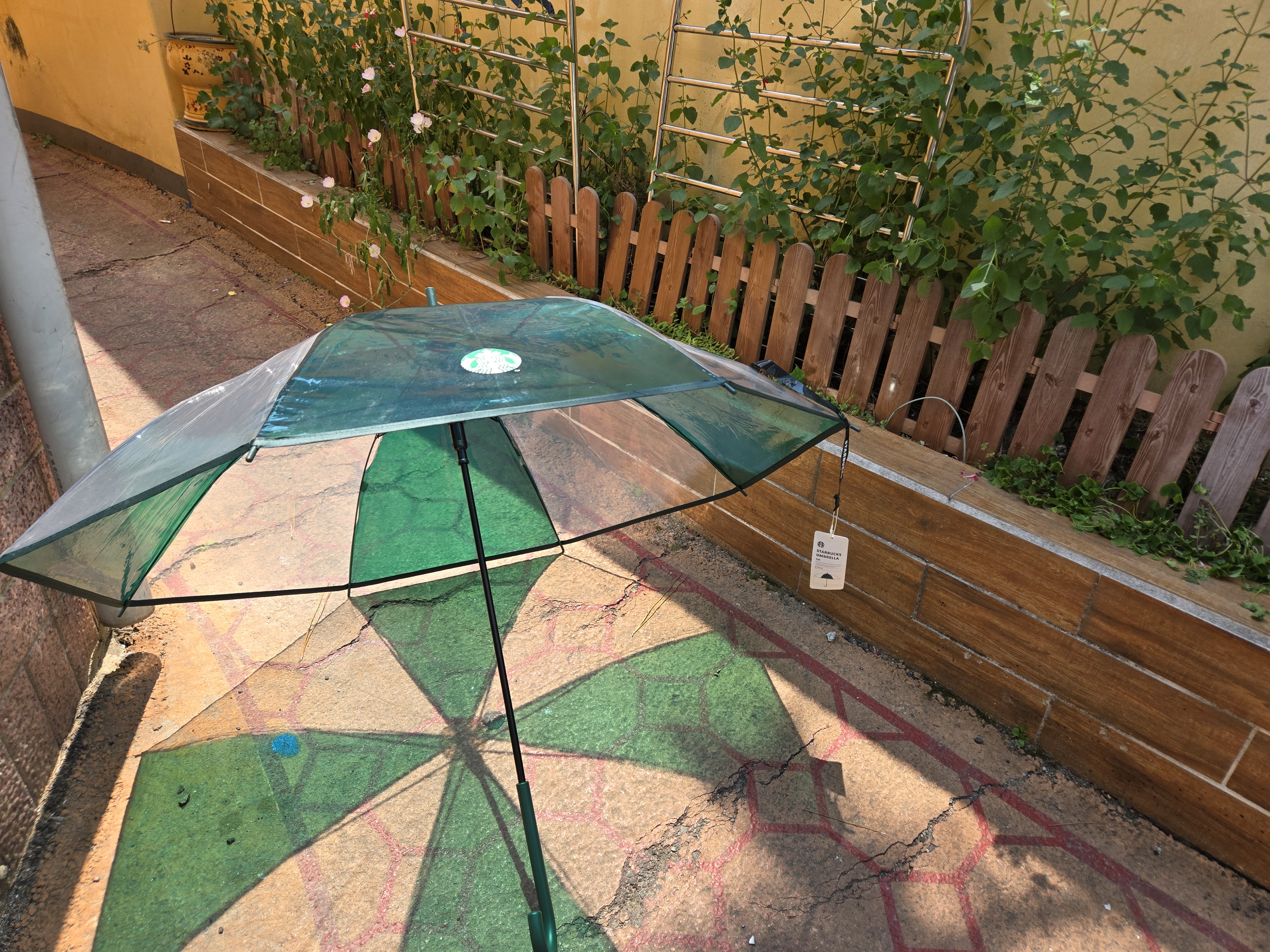 2025 스타벅스 레이니 데이 리차지 투명우산 그린