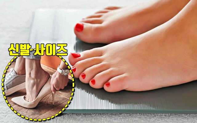 종아리 살빠지는 순서 다이어트