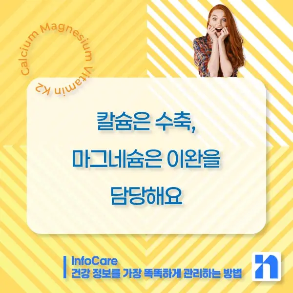 칼슘 마그네슘 비타민K2 효능, 복용법