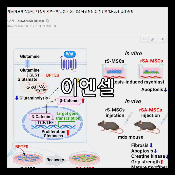 이엔셀 보호예수