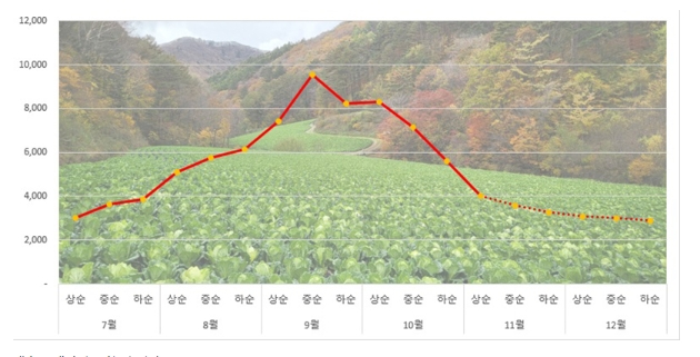 걱정 없는 2024년 김장 준비
