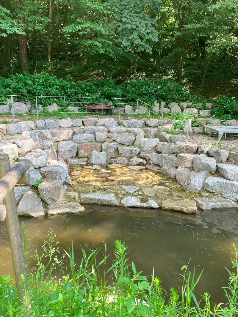 돗자리-깔만한-장소