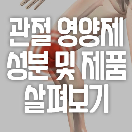 관절 영양제 성분 및 제품