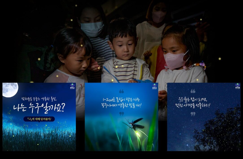 반딧불이-신비탐사